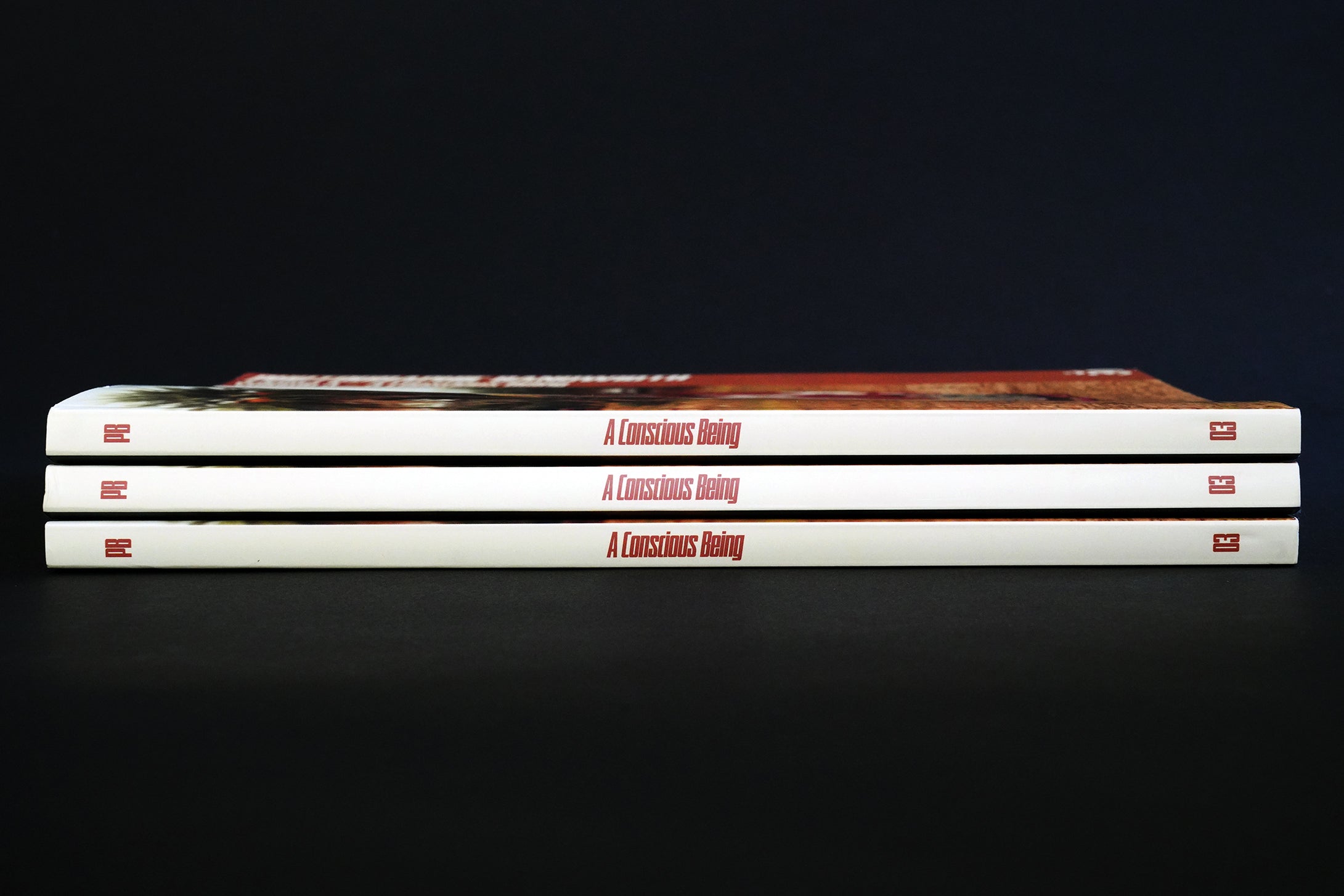 Volume 3 - A Conscious Being