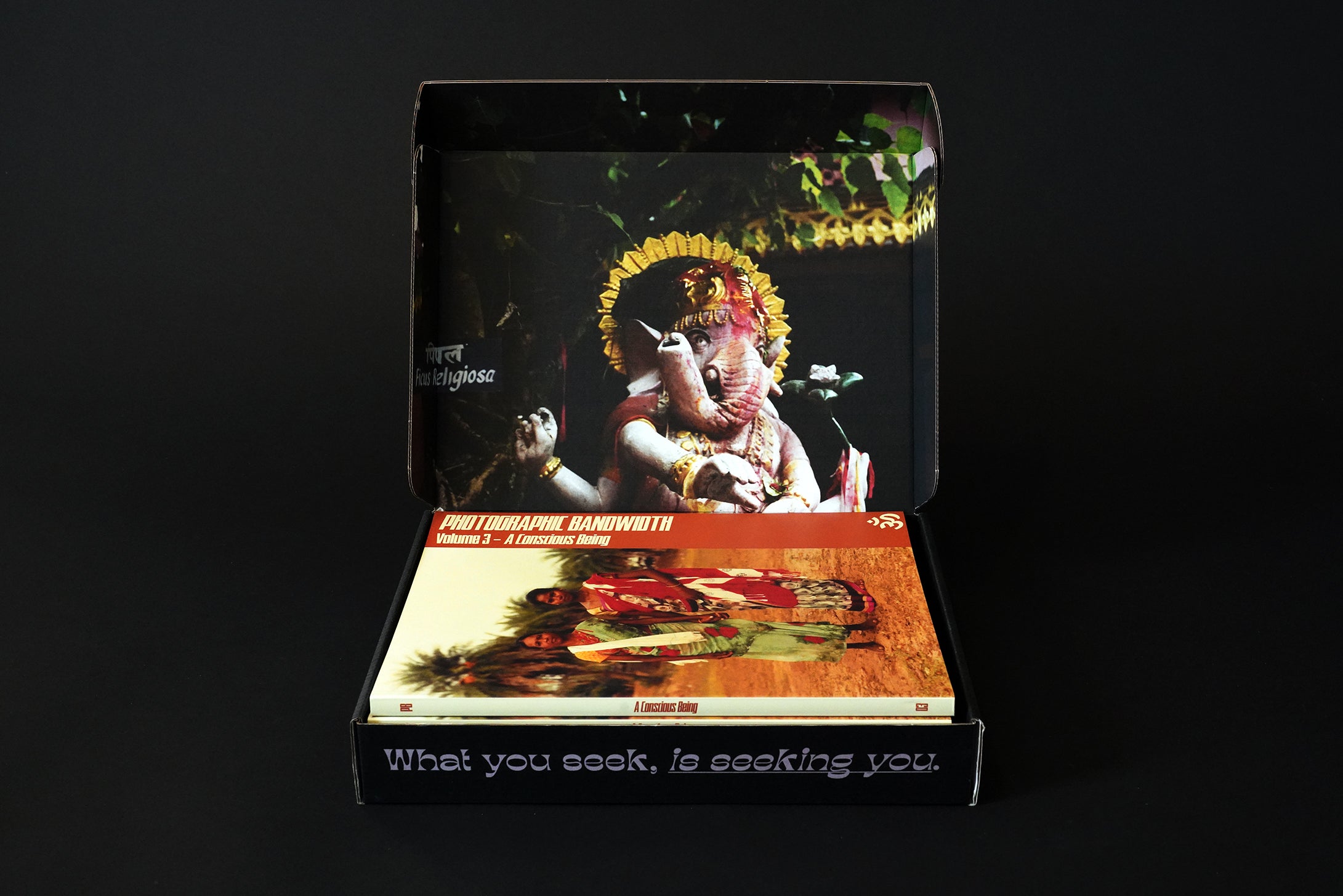 Volume 3 - A Conscious Being